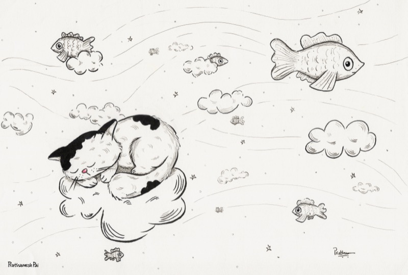 What do cats dream of?