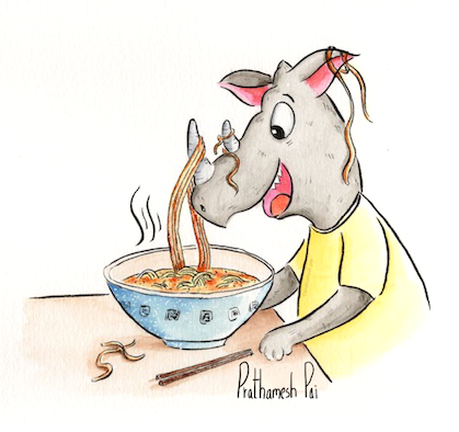 Noodles, anyone?